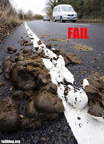 fail-owned-roadpaint-fail
