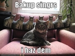 funny-pictures-cat-has-back-up-singers