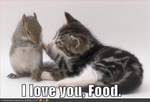 funny-pictures-cat-loves-food