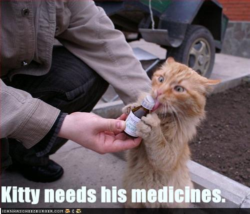 funny-pictures-cat-needs-his-medicine2