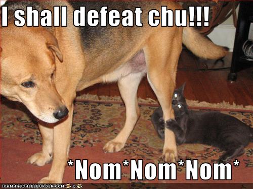 funny-pictures-cat-plans-to-defeat-dog