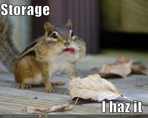 funny-pictures-chipmunk-has-storage