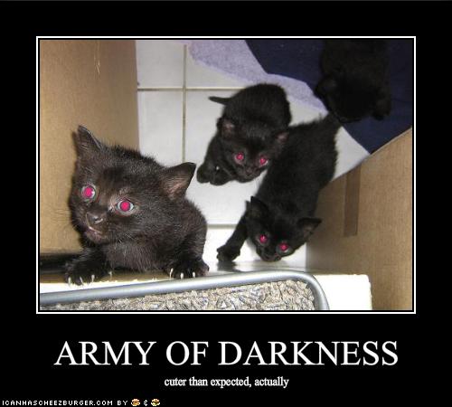 funny-pictures-the-army-of-darkness-is-rather-cute