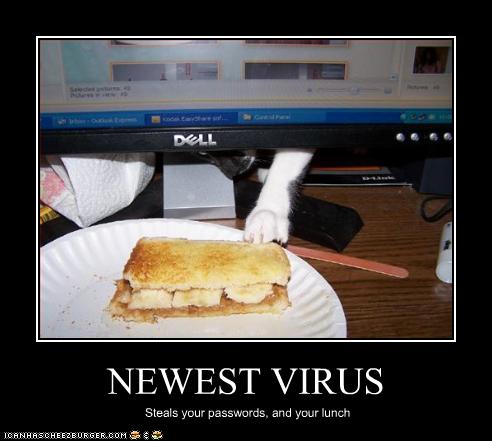 funny-pictures-you-have-a-new-virus