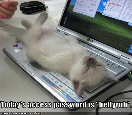 funny-pictures-your-laptop-has-a-new-password1
