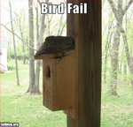 fail-owned-bird-fail