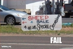 fail-owned-sheep-sale-fail