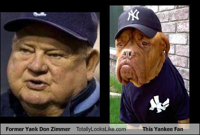 former-yank-don-zimmer-totally-looks-like-this-yankee-fan