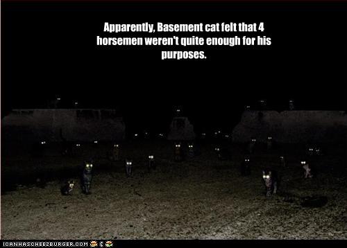 funny-pictures-basement-cat-has-many-horsemen