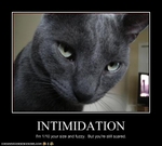 funny-pictures-cat-is-intimidating