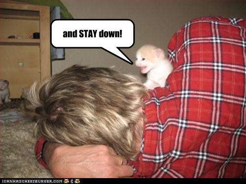 funny-pictures-kitten-conquers-man
