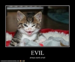 funny-pictures-kitten-is-evil
