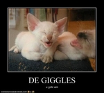 funny-pictures-kittens-have-the-giggles