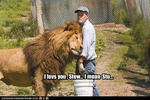 funny-pictures-lion-loves-his-caretaker