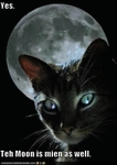 funny-pictures-moon-belongs-to-cat