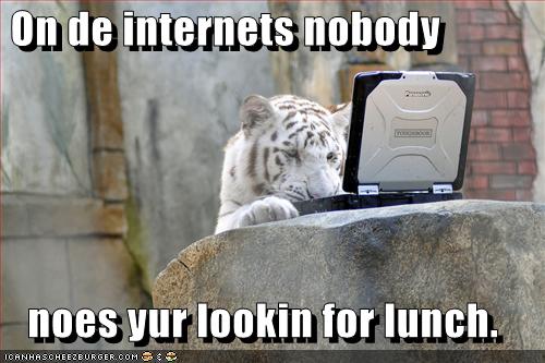 funny-pictures-tiger-is-looking-for-lunch