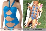 blue-bathing-suit-totally-looks-like-cat-in-blue-bikini