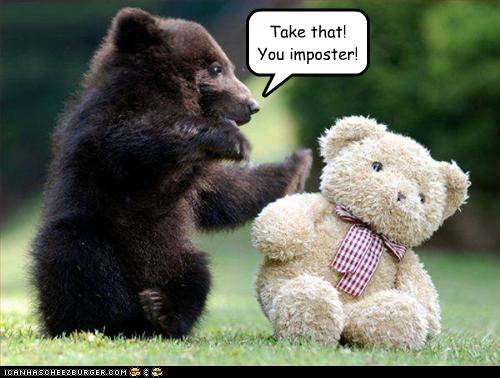 funny-pictures-bear-pummels-an-imposter