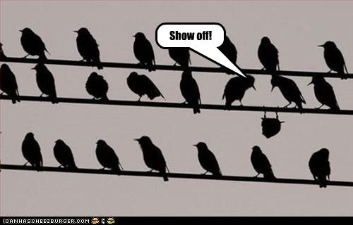 funny-pictures-bird-shows-off