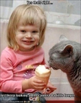 funny-pictures-cat-eats-ice-cream