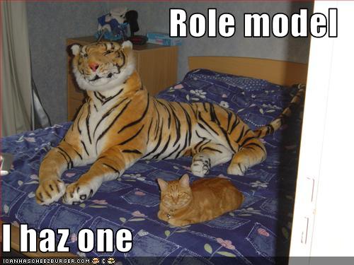 funny-pictures-cat-has-a-role-model