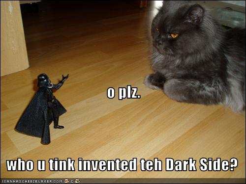 funny-pictures-cat-invented-dark-side