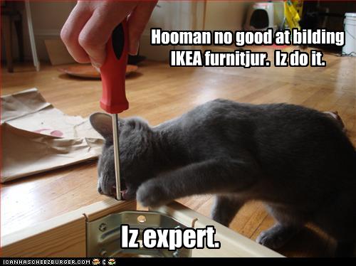 funny-pictures-cat-is-expert-with-furniture