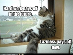 funny-pictures-cat-is-lazy