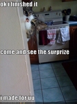 funny-pictures-cat-made-you-a-surprise