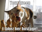 funny-pictures-cat-takes-queen-hostage