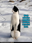 funny-pictures-cat-was-raised-by-penguins