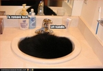 funny-pictures-cat-will-remove-your-face