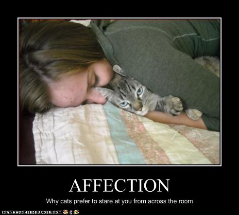 funny-pictures-cats-hate-affection