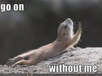 funny-pictures-chipmunk-asks-you-to-go-on