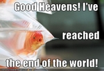 funny-pictures-fish-reaches-end-of-world