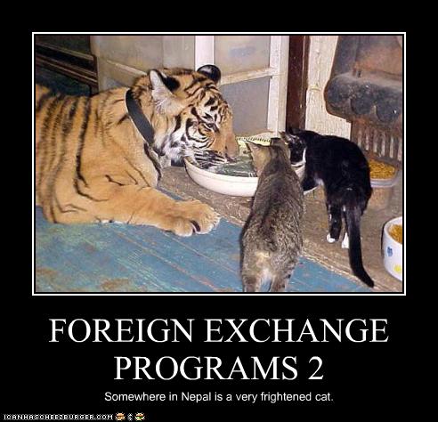 funny-pictures-foreign-exchange-programs