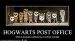 funny-pictures-hogwarts-has-a-post-office