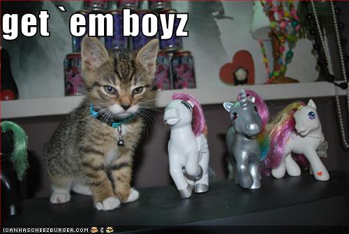 funny-pictures-kitten-has-pony-army