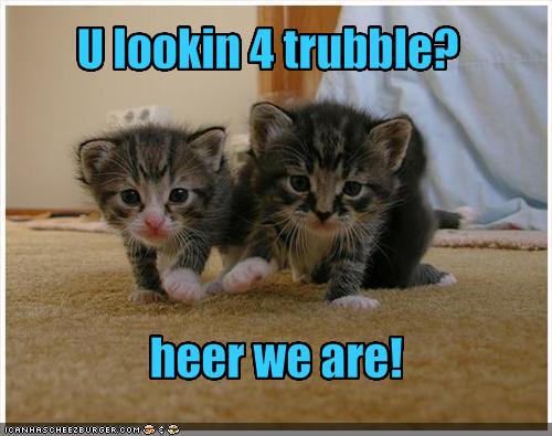 funny images of kittens. funny-pictures-kittens-are-