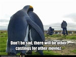 funny-pictures-penguins-did-not-make-cut