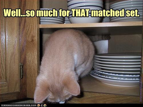 funny-pictures-cat-destroys-dishes