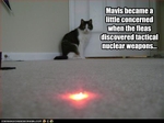 funny-pictures-cat-fears-laser