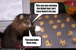 funny-pictures-cat-helps-bake-cookies