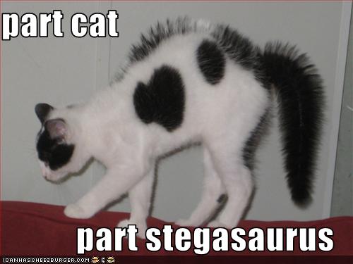 funny-pictures-cat-is-part-dinosaur