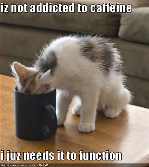 funny-pictures-cat-loves-coffee