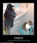 funny-pictures-cat-sees-an-omen
