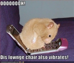 funny-pictures-hamster-has-new-chair