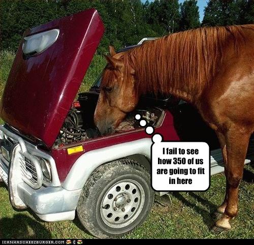 funny-pictures-horse-looks-at-engine