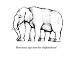 Elephant Legs
