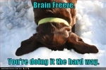 brainfreeze